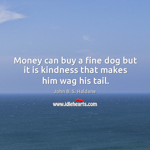 Money can buy a fine dog but it is kindness that makes him wag his tail. Image