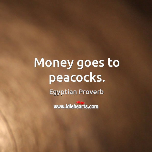 Money goes to peacocks. Egyptian Proverbs Image