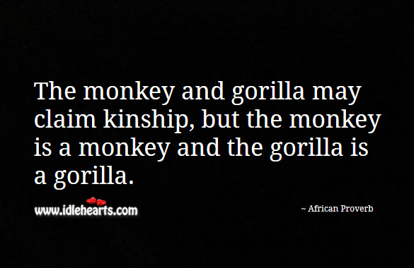 The monkey and gorilla may claim kinship, but the monkey is a monkey and the gorilla is a gorilla. Image