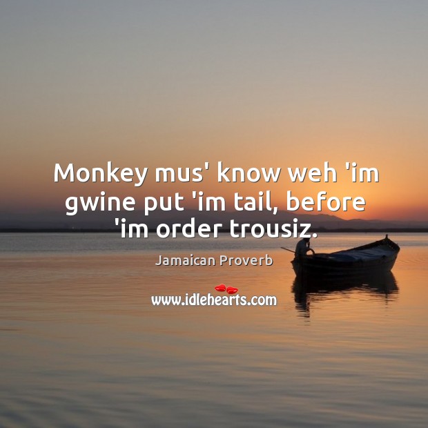 Monkey mus’ know weh ‘im gwine put ‘im tail, before ‘im order trousiz. Jamaican Proverbs Image