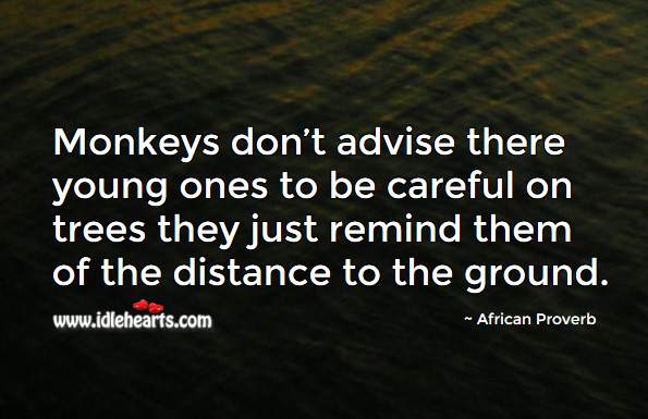 Monkeys don’t advise there young ones to be careful on trees they just remind them of the distance to the ground. African Proverbs Image