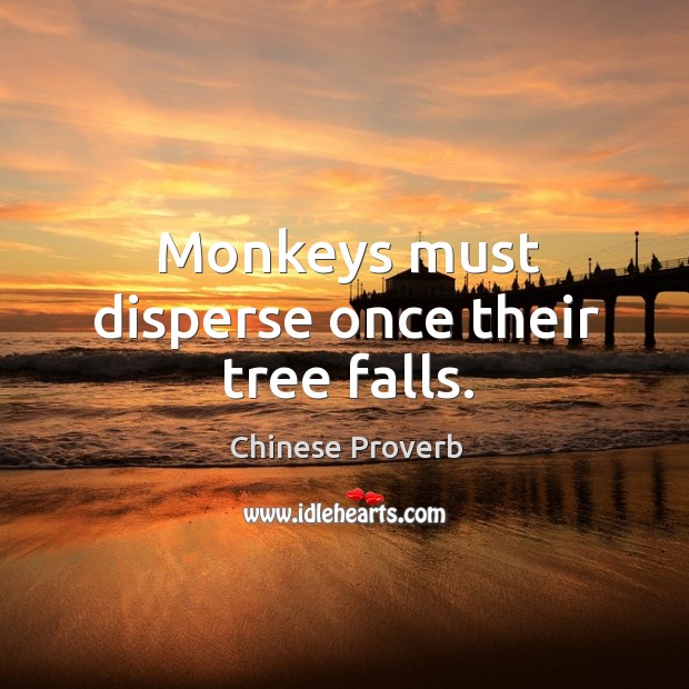 Monkeys must disperse once their tree falls. Chinese Proverbs Image