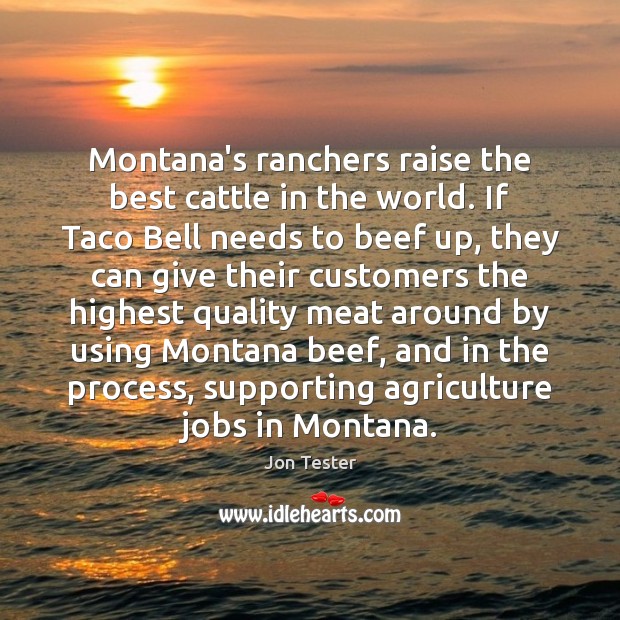 Montana’s ranchers raise the best cattle in the world. If Taco Bell Jon Tester Picture Quote