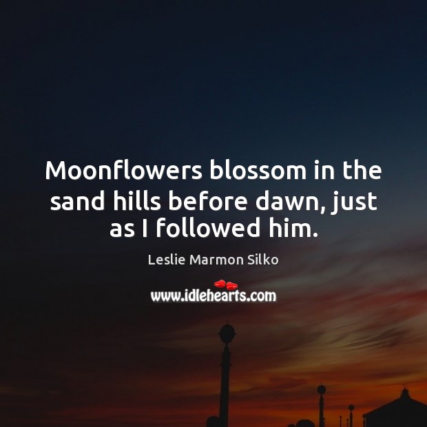 Moonflowers blossom in the sand hills before dawn, just as I followed him. Image