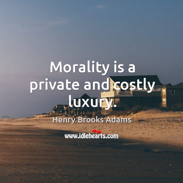 Morality is a private and costly luxury. Henry Brooks Adams Picture Quote
