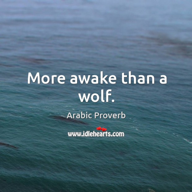 More awake than a wolf. Arabic Proverbs Image