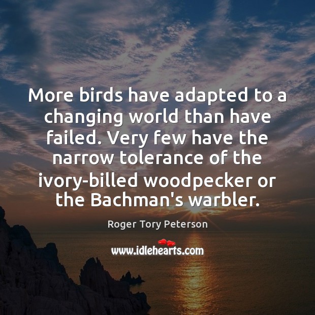 More birds have adapted to a changing world than have failed. Very Roger Tory Peterson Picture Quote