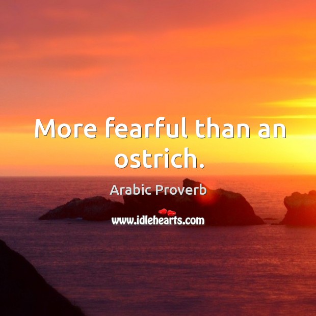 More fearful than an ostrich. Arabic Proverbs Image