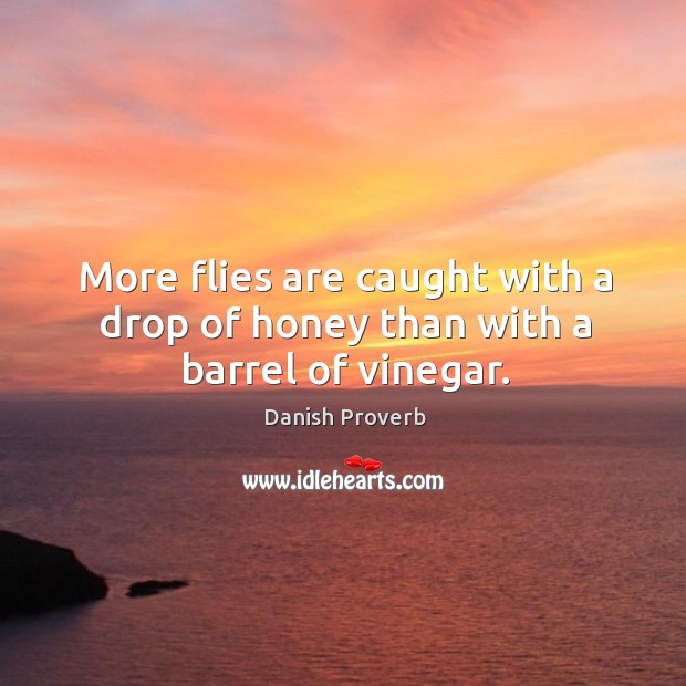 More flies are caught with a drop of honey than with a barrel of vinegar. Image