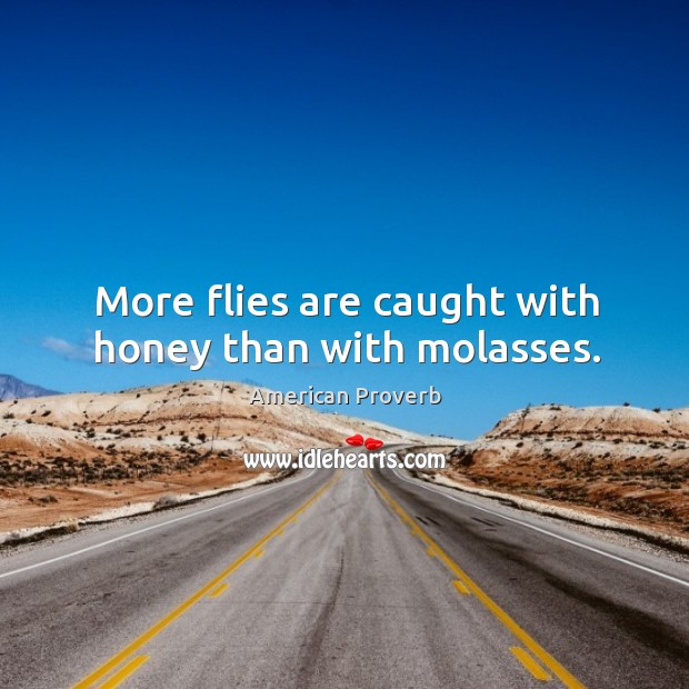 More flies are caught with honey than with molasses. American Proverbs Image
