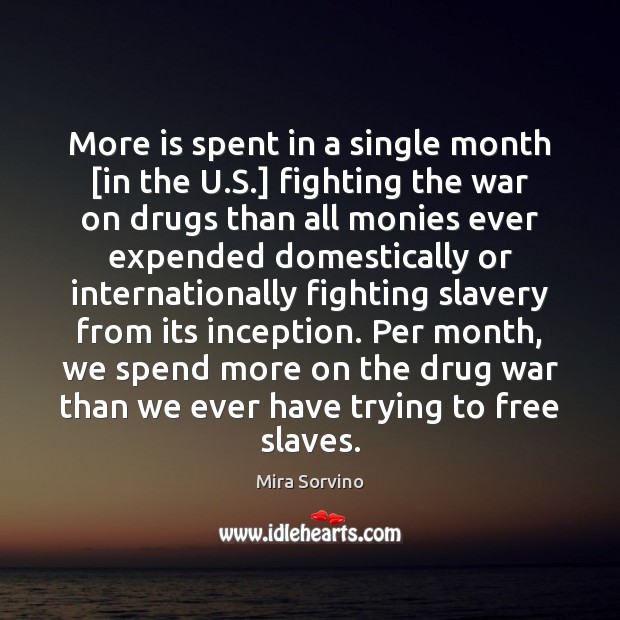 More is spent in a single month [in the U.S.] fighting Mira Sorvino Picture Quote