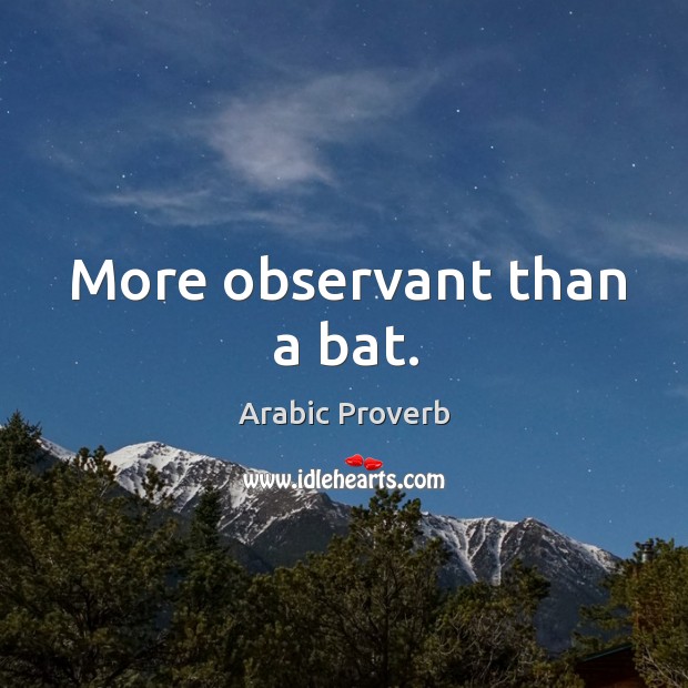 More observant than a bat. Arabic Proverbs Image