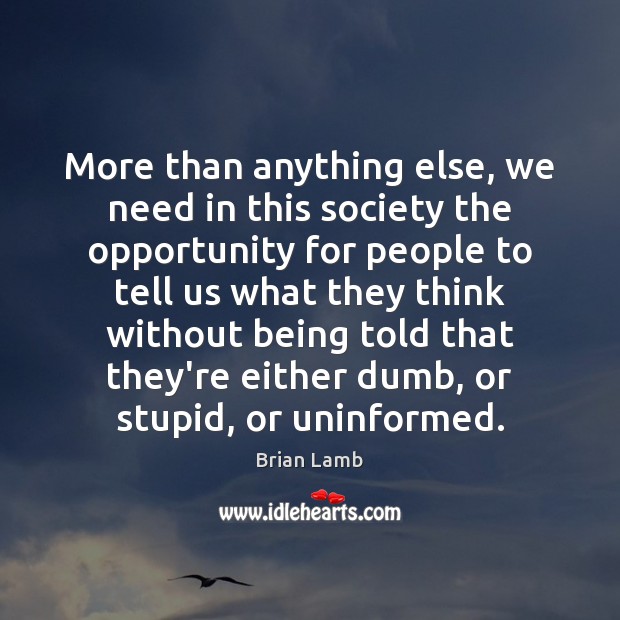 More than anything else, we need in this society the opportunity for Brian Lamb Picture Quote