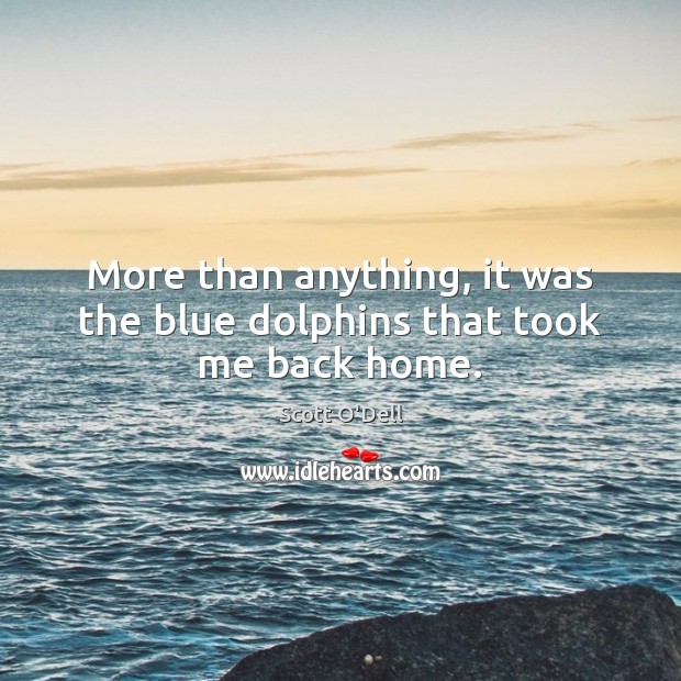 More than anything, it was the blue dolphins that took me back home. Scott O’Dell Picture Quote