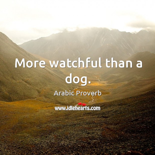 More watchful than a dog. Arabic Proverbs Image