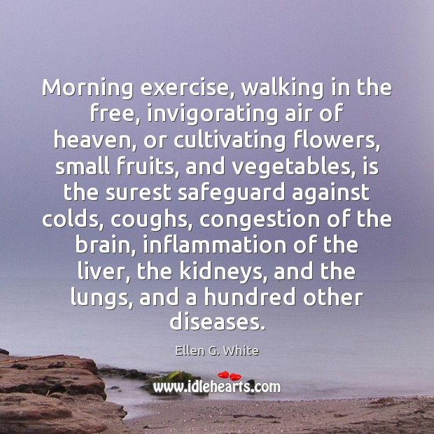 Morning exercise, walking in the free, invigorating air of heaven, or cultivating Ellen G. White Picture Quote