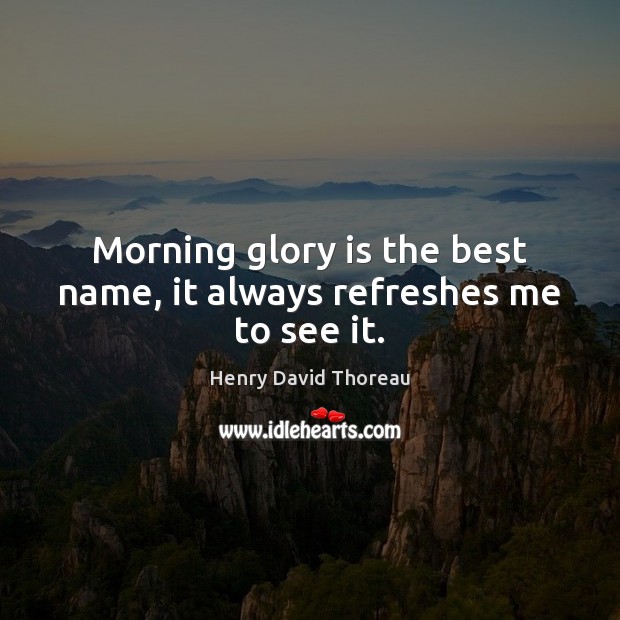Morning glory is the best name, it always refreshes me to see it. Image