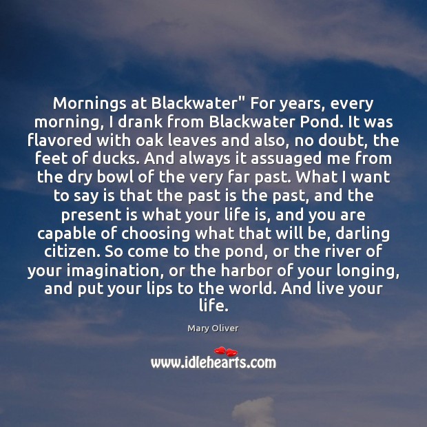 Mornings at Blackwater” For years, every morning, I drank from Blackwater Pond. Mary Oliver Picture Quote