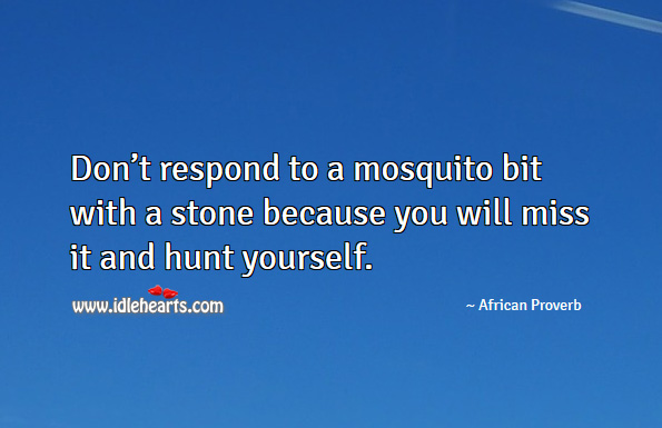 Don’t respond to a mosquito bit with a stone because you you will miss it and hunt yourself. African Proverbs Image