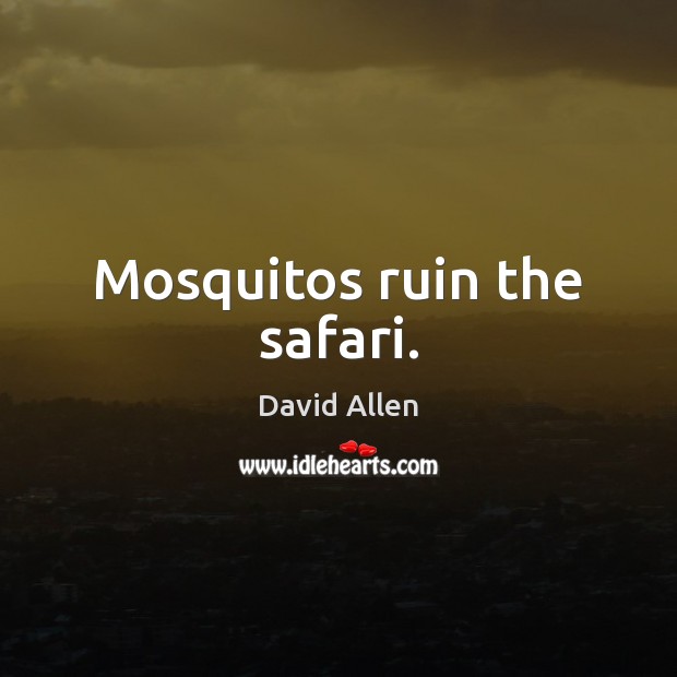 Mosquitos ruin the safari. David Allen Picture Quote