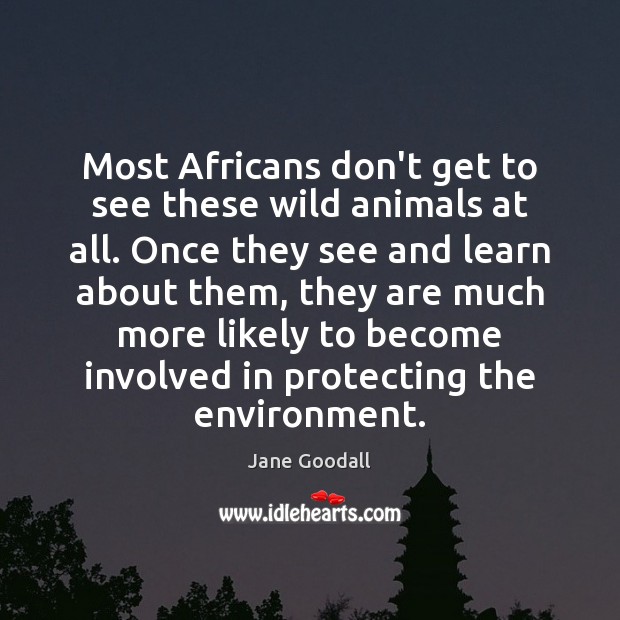 Most Africans don’t get to see these wild animals at all. Once Image