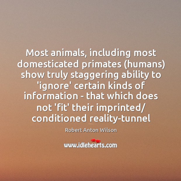 Most animals, including most domesticated primates (humans) show truly staggering ability to Robert Anton Wilson Picture Quote