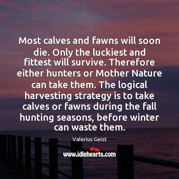 Most calves and fawns will soon die. Only the luckiest and fittest Valerius Geist Picture Quote