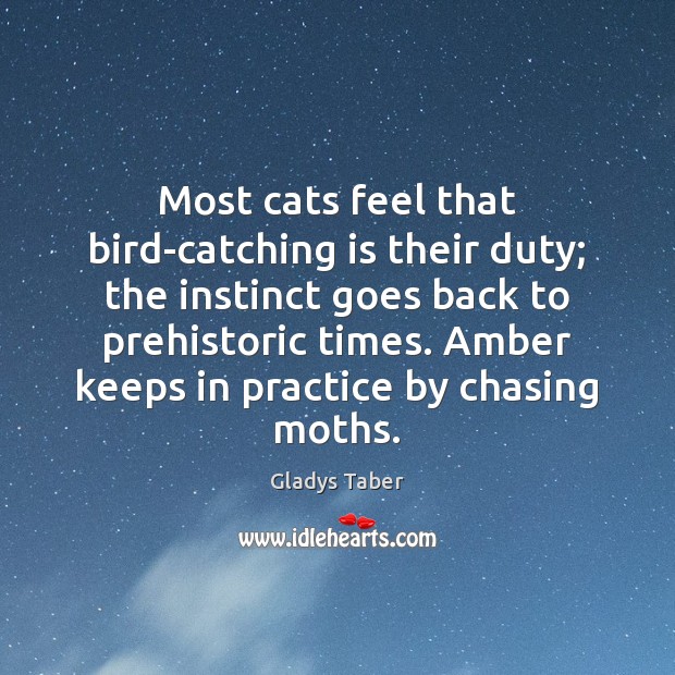 Most cats feel that bird-catching is their duty; the instinct goes back Image