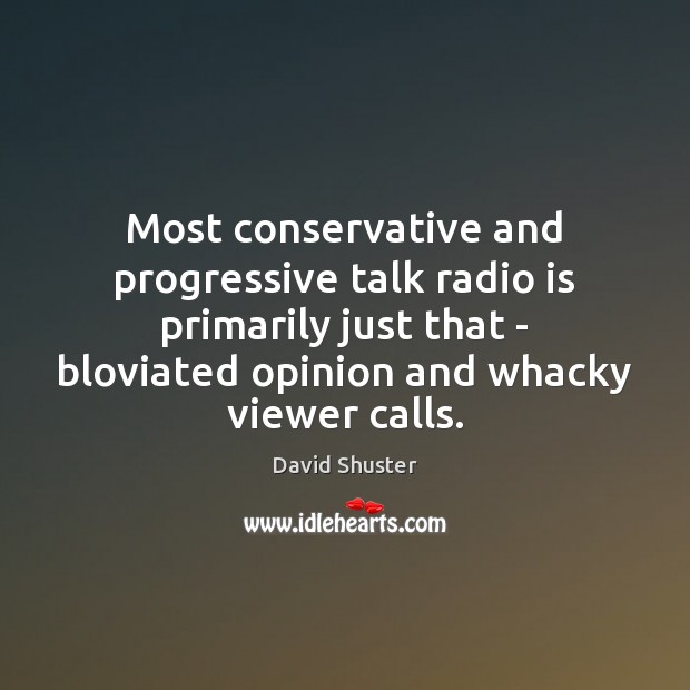 Most conservative and progressive talk radio is primarily just that – bloviated David Shuster Picture Quote