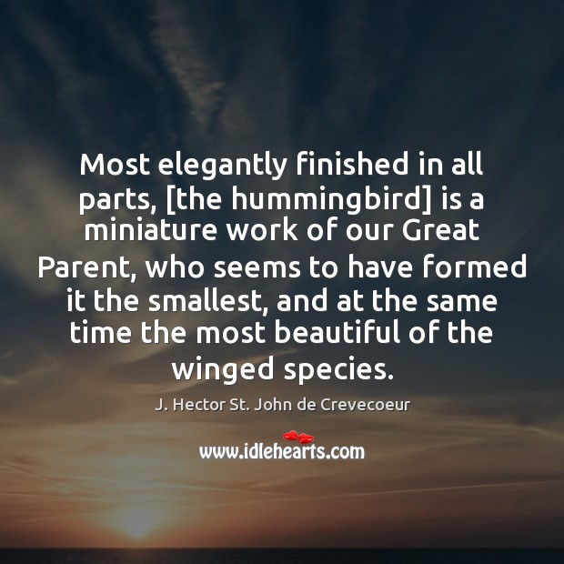 Most elegantly finished in all parts, [the hummingbird] is a miniature work J. Hector St. John de Crevecoeur Picture Quote