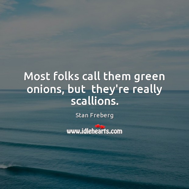 Most folks call them green onions, but  they’re really scallions. Stan Freberg Picture Quote