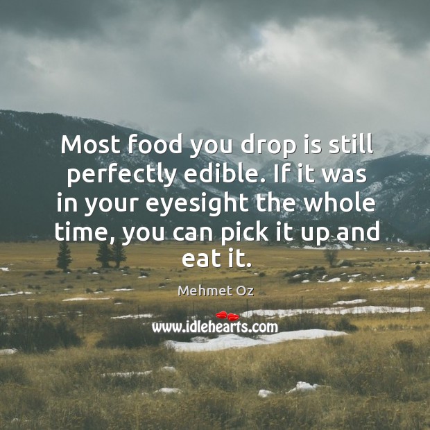 Most food you drop is still perfectly edible. If it was in your eyesight the whole time Image