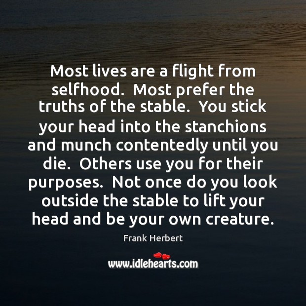 Most lives are a flight from selfhood.  Most prefer the truths of Image
