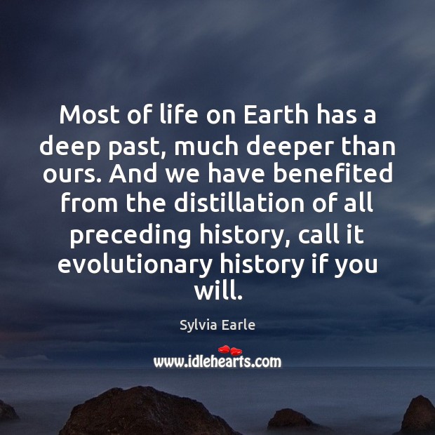 Most of life on Earth has a deep past, much deeper than Sylvia Earle Picture Quote