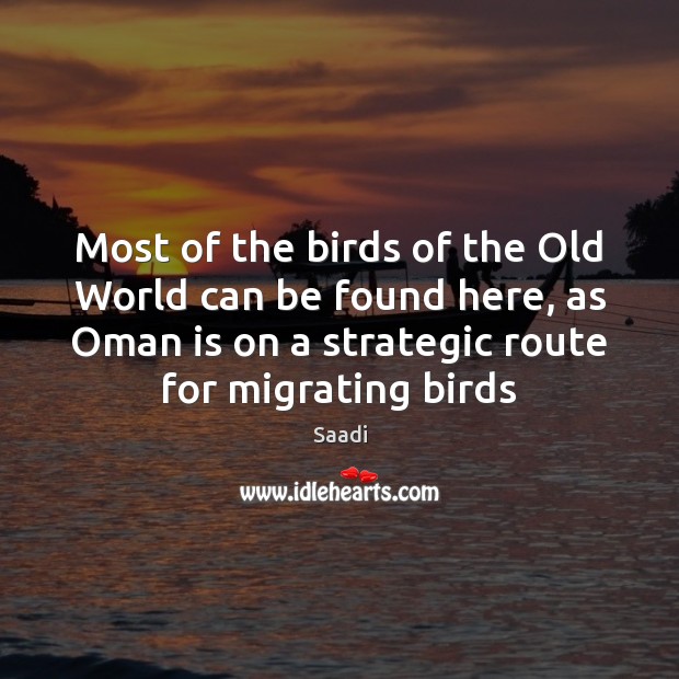 Most of the birds of the Old World can be found here, Saadi Picture Quote