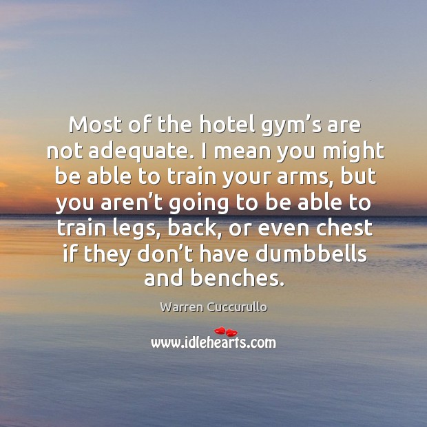 Most of the hotel gym’s are not adequate. I mean you might be able to train your arms Warren Cuccurullo Picture Quote