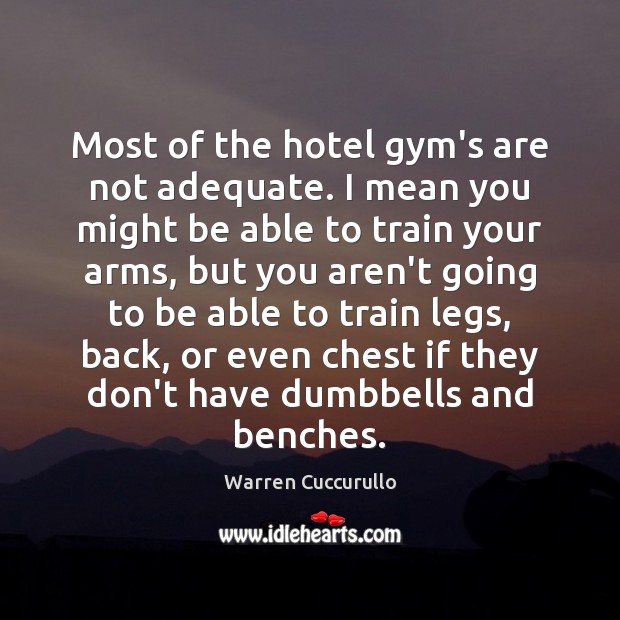 Most of the hotel gym’s are not adequate. I mean you might Warren Cuccurullo Picture Quote