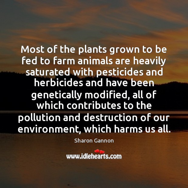 Most of the plants grown to be fed to farm animals are Sharon Gannon Picture Quote