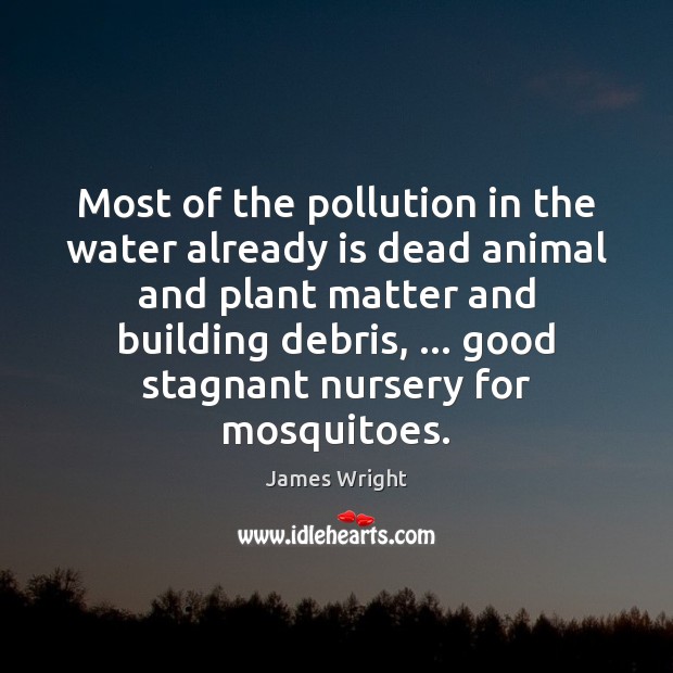 Most of the pollution in the water already is dead animal and James Wright Picture Quote