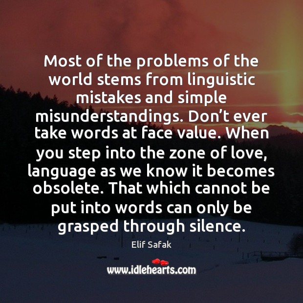Most of the problems of the world stems from linguistic mistakes and Elif Safak Picture Quote