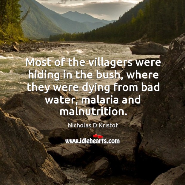 Most of the villagers were hiding in the bush, where they were dying from bad water, malaria and malnutrition. Nicholas D Kristof Picture Quote
