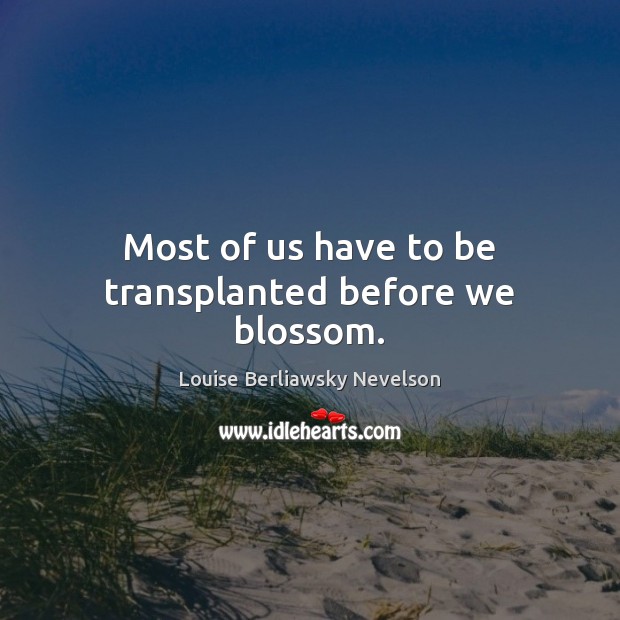 Most of us have to be transplanted before we blossom. Louise Berliawsky Nevelson Picture Quote