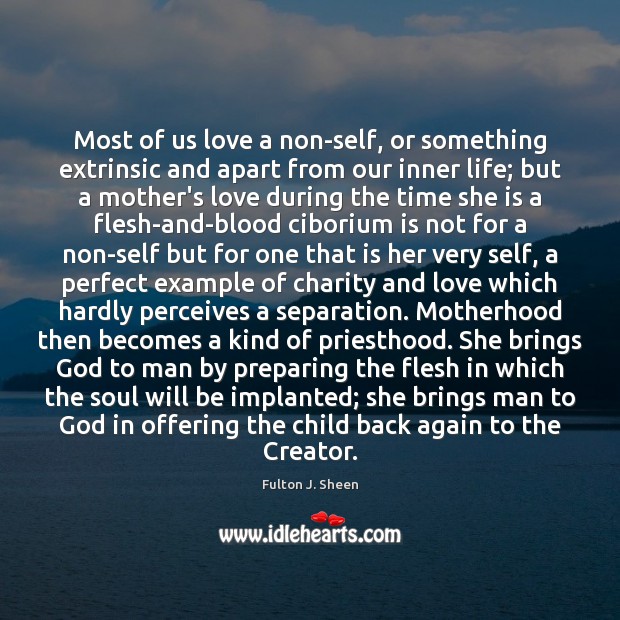 Most of us love a non-self, or something extrinsic and apart from Fulton J. Sheen Picture Quote