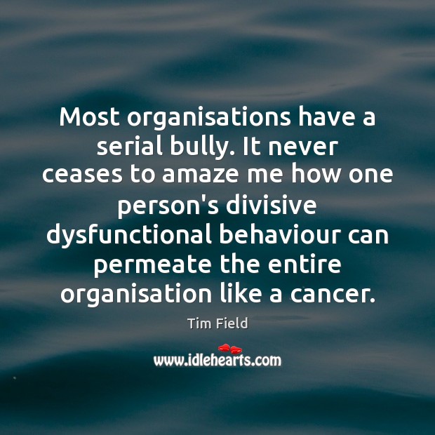 Most organisations have a serial bully. It never ceases to amaze me Tim Field Picture Quote