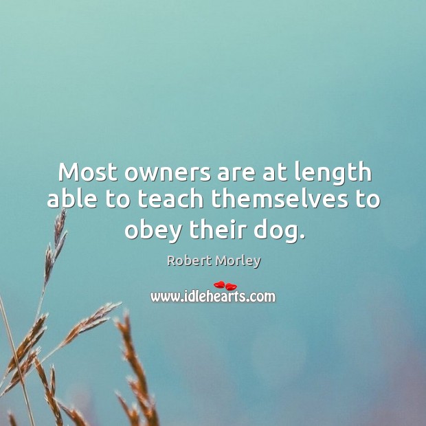 Most owners are at length able to teach themselves to obey their dog. Robert Morley Picture Quote