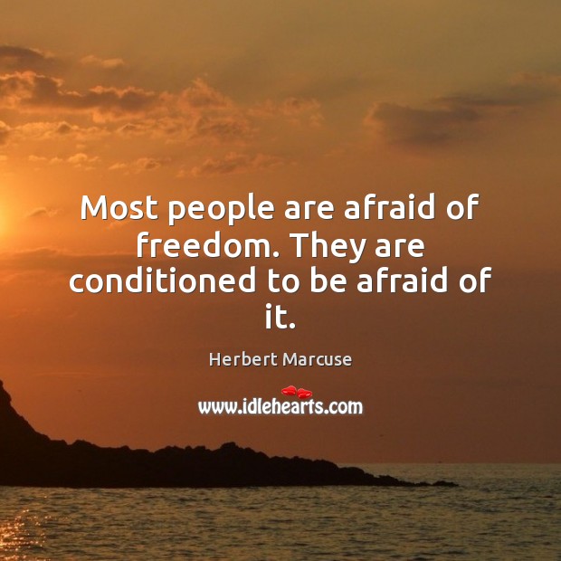 Most people are afraid of freedom. They are conditioned to be afraid of it. Herbert Marcuse Picture Quote