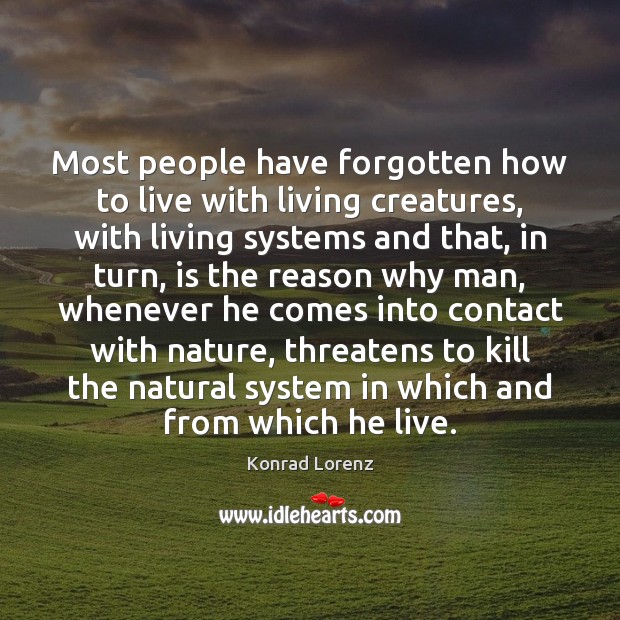 Most people have forgotten how to live with living creatures, with living Konrad Lorenz Picture Quote