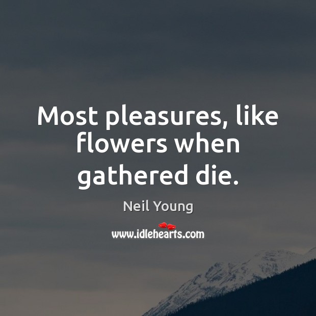 Most pleasures, like flowers when gathered die. Neil Young Picture Quote