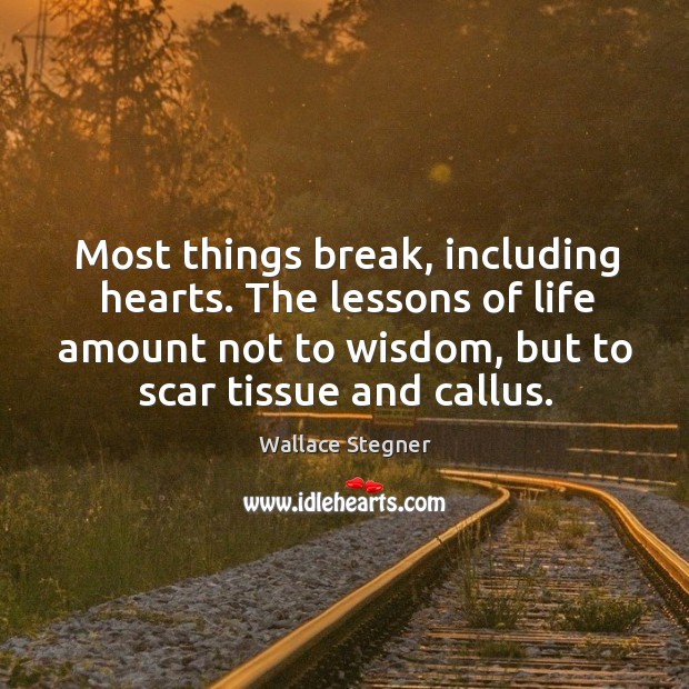 Most things break, including hearts. The lessons of life amount not to wisdom, but to scar tissue and callus. Image