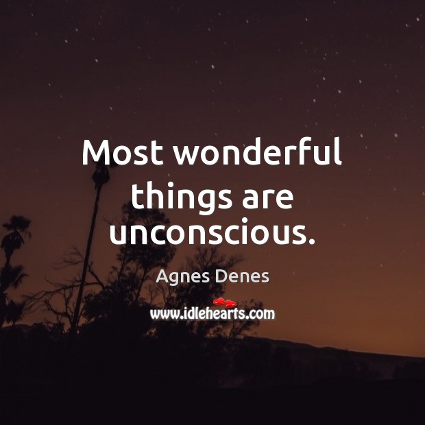 Most wonderful things are unconscious. Agnes Denes Picture Quote